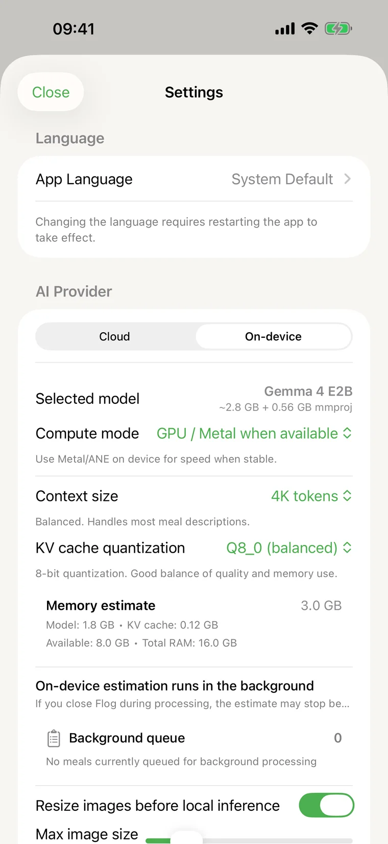 AI provider settings with an on-device Gemma model selected.