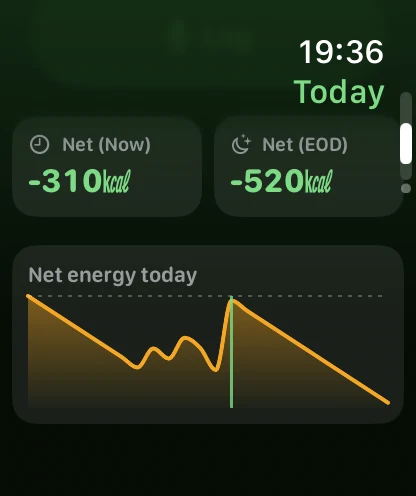 Net energy on Apple Watch.
